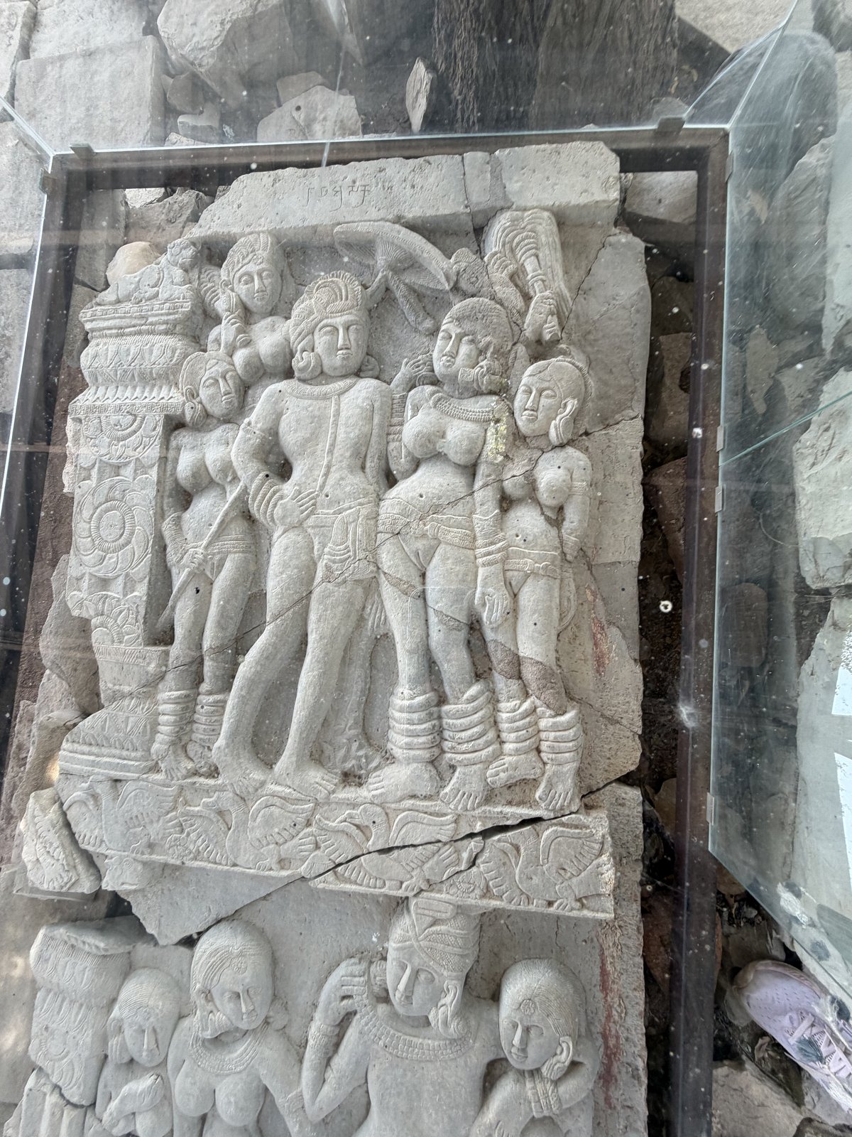 Ashoka — Lion Capital