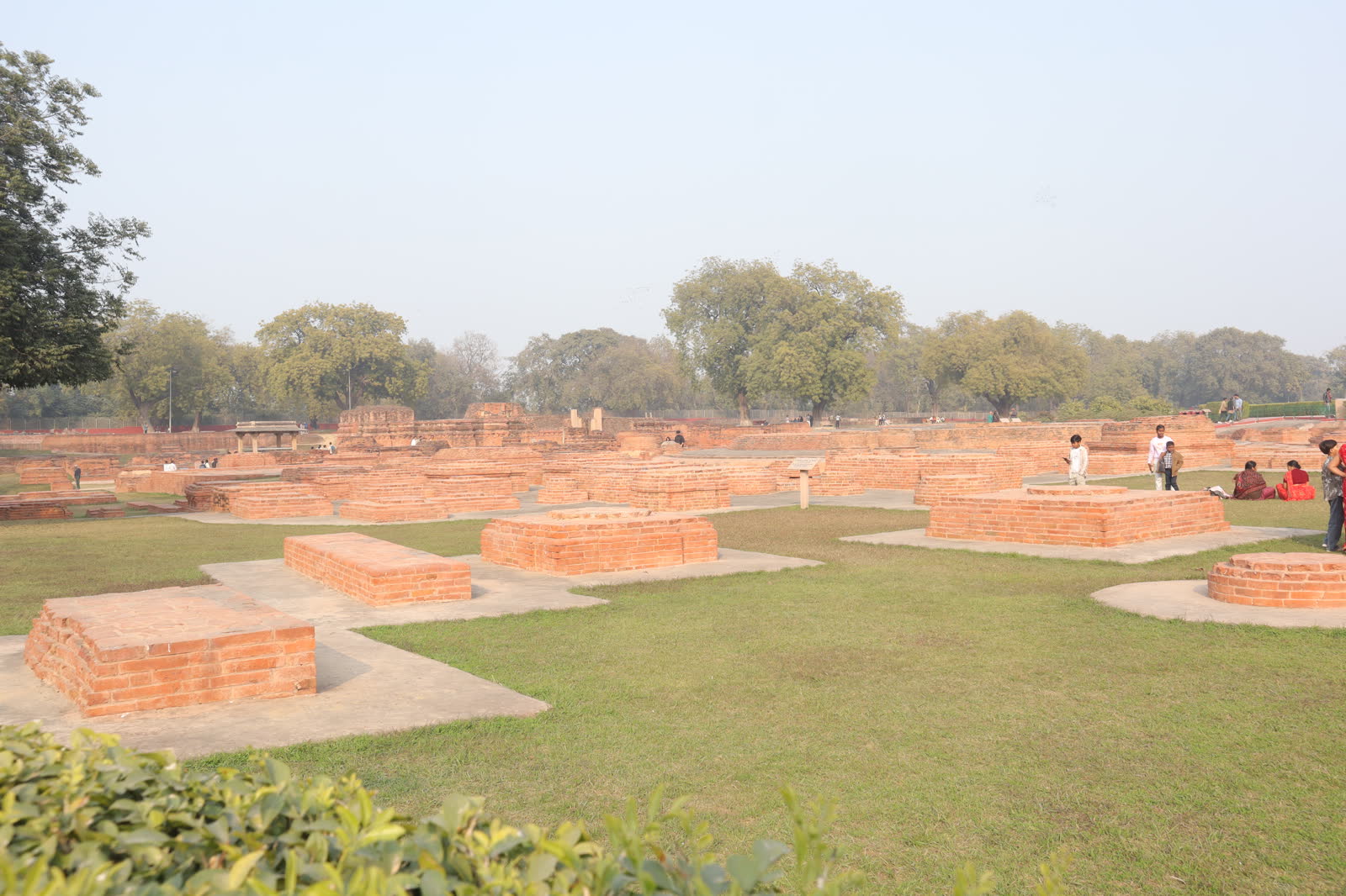 Dhauli site photograph