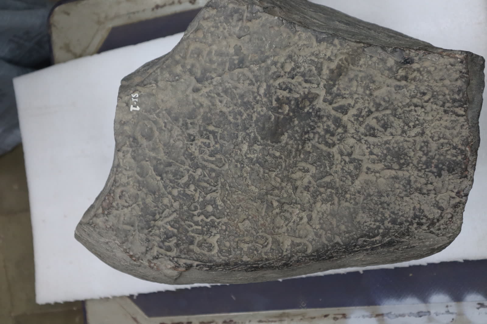 Sopara site photograph